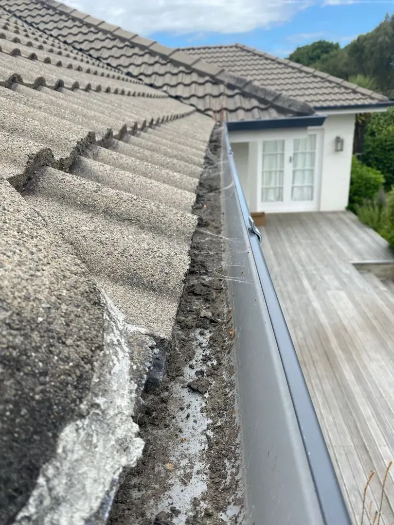 Before and after comparison - Before Cleaning