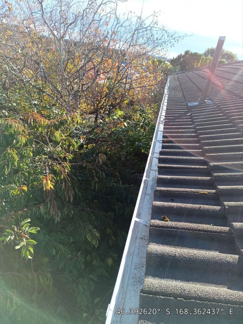 Gutter Cleaning & Maintenance #2 photo 1