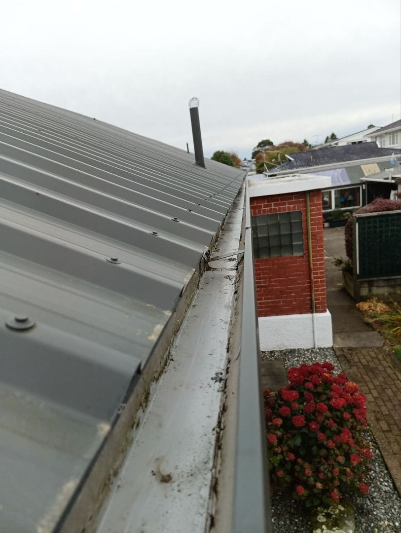 Gutter Cleaning & Maintenance #6 photo 1